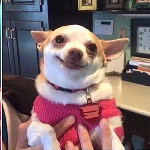 Meet your Posher, Margot - Picture 3 of 4